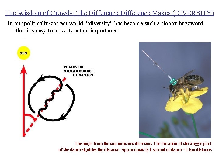 The Wisdom of Crowds: The Difference Makes (DIVERSITY) In our politically-correct world, “diversity” has