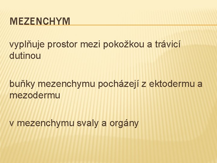 MEZENCHYM vyplňuje prostor mezi pokožkou a trávicí dutinou buňky mezenchymu pocházejí z ektodermu a