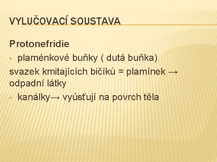 VYLUČOVACÍ SOUSTAVA Protonefridie • plaménkové buňky ( dutá buňka) svazek kmitajících bičíků = plamínek