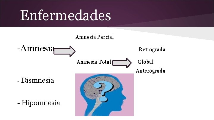 Enfermedades Amnesia Parcial -Amnesia Retrógrada Amnesia Total Global Anterógrada - Dismnesia - Hipomnesia 