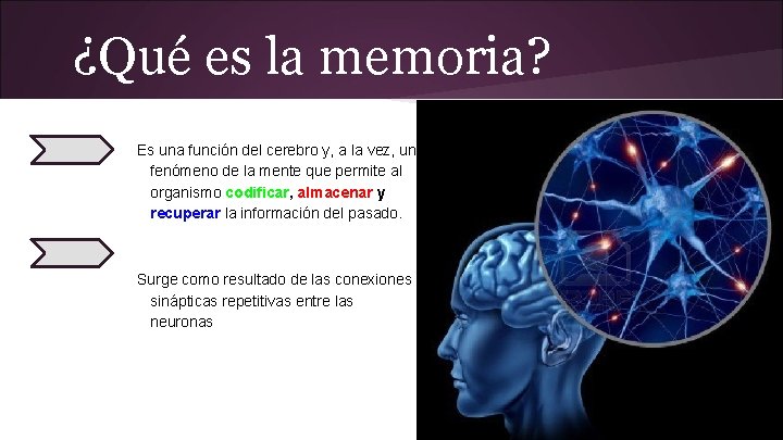 ¿Qué es la memoria? Es una función del cerebro y, a la vez, un