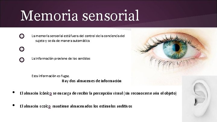 Memoria sensorial La memoria sensorial está fuera del control de la conciencia del sujeto