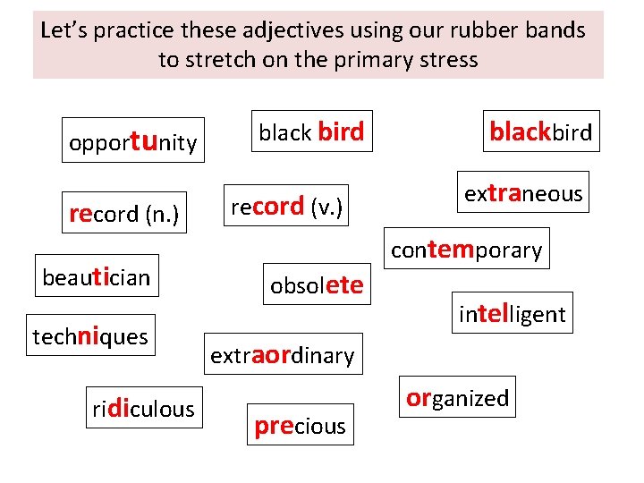 Let’s practice these adjectives using our rubber bands to stretch on the primary stress