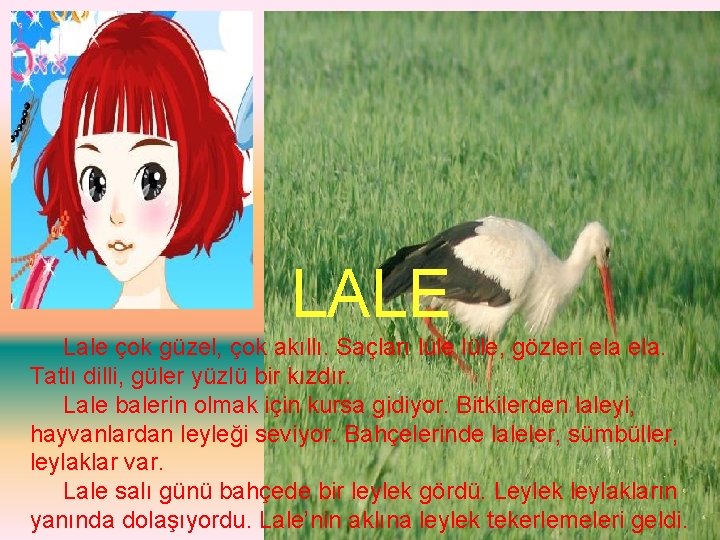 LALE Lale çok güzel, çok akıllı. Saçları lüle, gözleri ela. Tatlı dilli, güler yüzlü