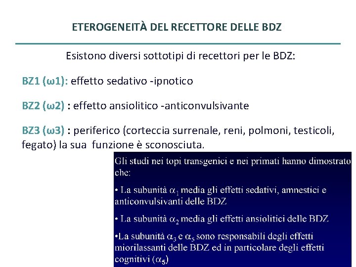 ETEROGENEITÀ DEL RECETTORE DELLE BDZ Esistono diversi sottotipi di recettori per le BDZ: BZ