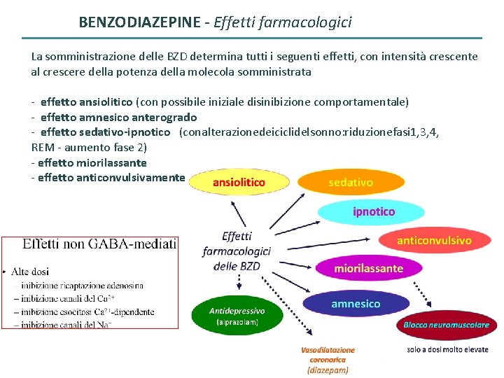 BENZODIAZEPINE - Effetti farmacologici La somministrazione delle BZD determina tutti i seguenti effetti, con