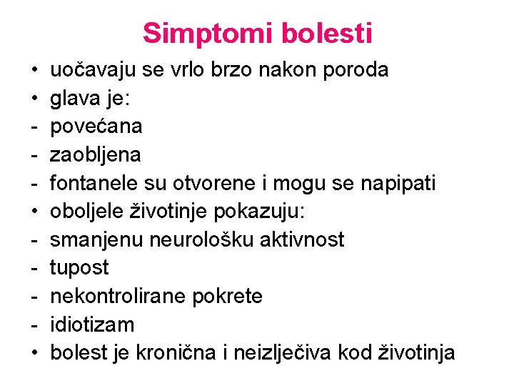 Simptomi bolesti • • uočavaju se vrlo brzo nakon poroda glava je: povećana zaobljena