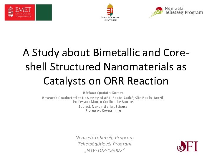 A Study about Bimetallic and Coreshell Structured Nanomaterials as Catalysts on ORR Reaction Bárbara
