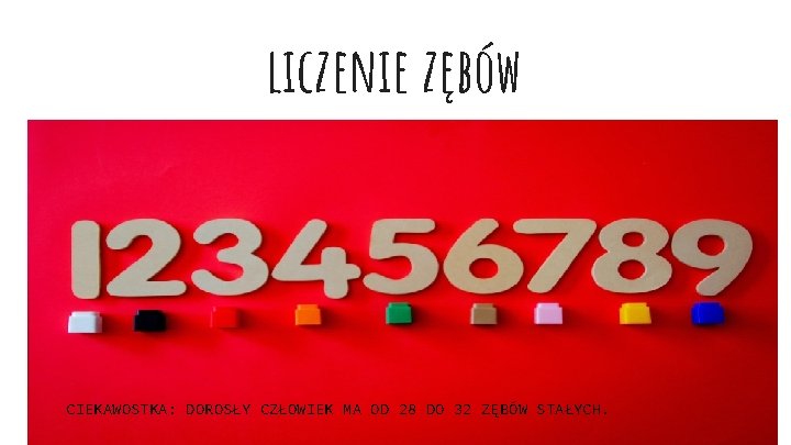 liczenie zębów CIEKAWOSTKA: DOROSŁY CZŁOWIEK MA OD 28 DO 32 ZĘBÓW STAŁYCH. 