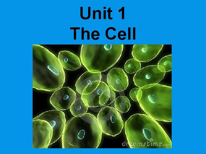 Unit 1 The Cell 