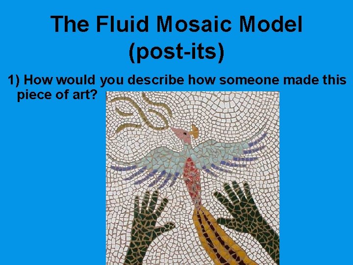 The Fluid Mosaic Model (post-its) 1) How would you describe how someone made this