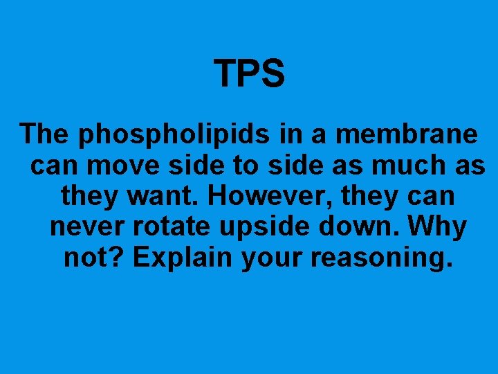TPS The phospholipids in a membrane can move side to side as much as