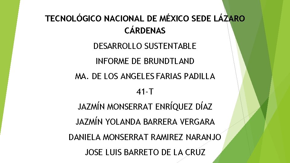 TECNOLÓGICO NACIONAL DE MÉXICO SEDE LÁZARO CÁRDENAS DESARROLLO SUSTENTABLE INFORME DE BRUNDTLAND MA. DE