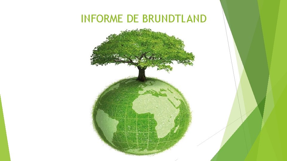 INFORME DE BRUNDTLAND 