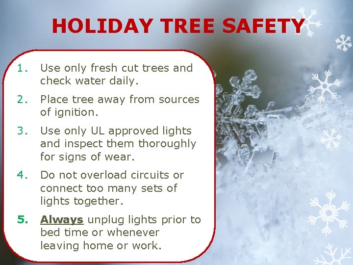 HOLIDAY TREE SAFETY 1. Use only fresh cut trees and check water daily. 2.