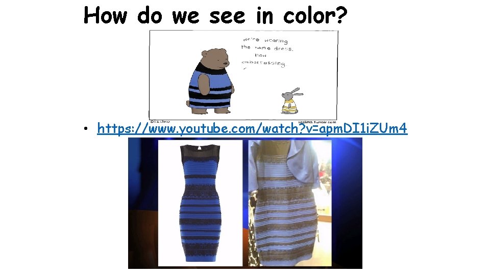 How do we see in color? • https: //www. youtube. com/watch? v=apm. DI 1