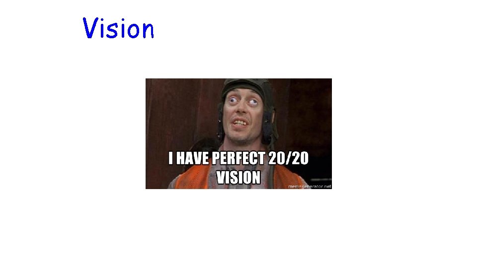 Vision 