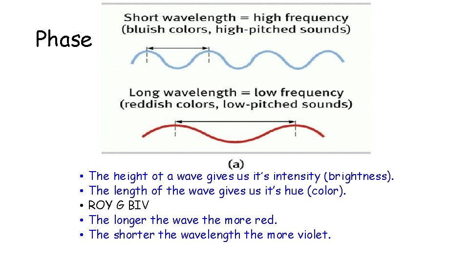 Phase One: Gathering Light • • • The height of a wave gives us