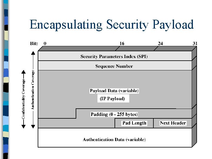 Encapsulating Security Payload (IP Payload) 