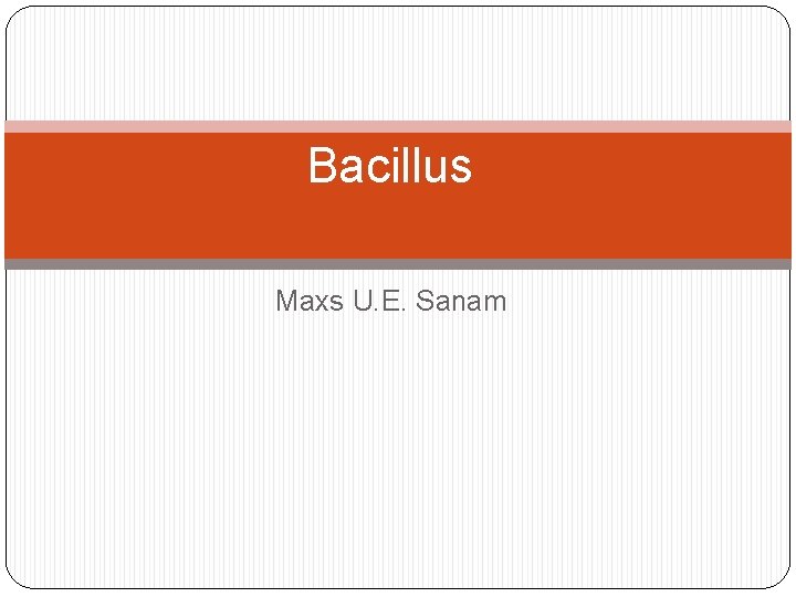 Bacillus Maxs U. E. Sanam 