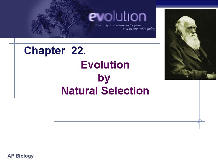 Chapter 22. Evolution by Natural Selection AP Biology 