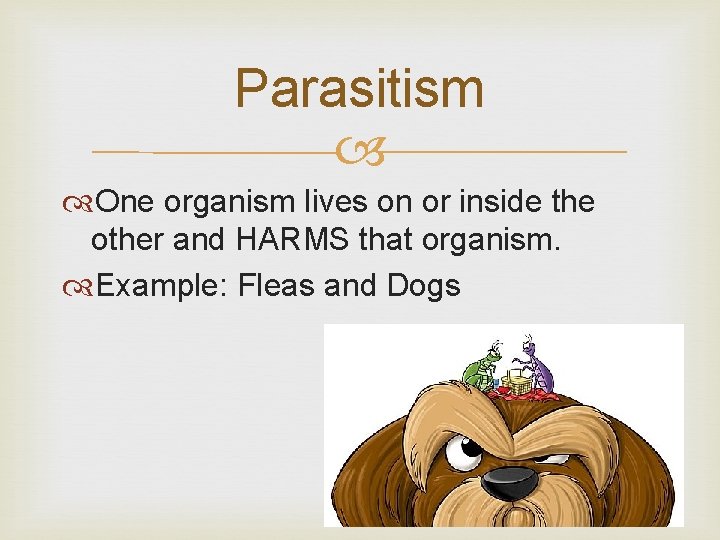 Parasitism One organism lives on or inside the other and HARMS that organism. Example: