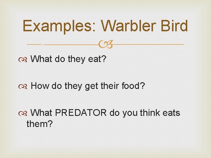 Examples: Warbler Bird What do they eat? How do they get their food? What
