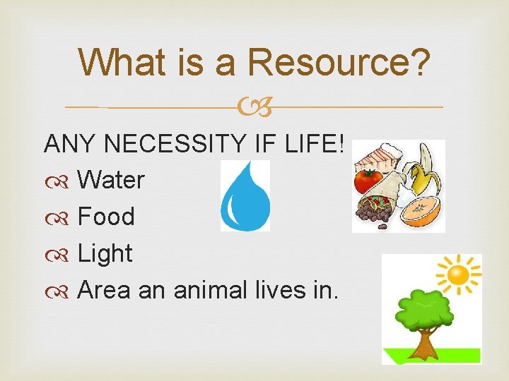 What is a Resource? ANY NECESSITY IF LIFE! Water Food Light Area an animal