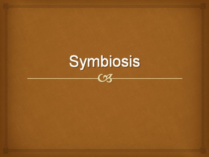 Symbiosis 