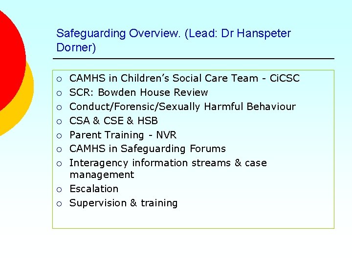 Safeguarding Overview. (Lead: Dr Hanspeter Dorner) ¡ ¡ ¡ ¡ ¡ CAMHS in Children’s