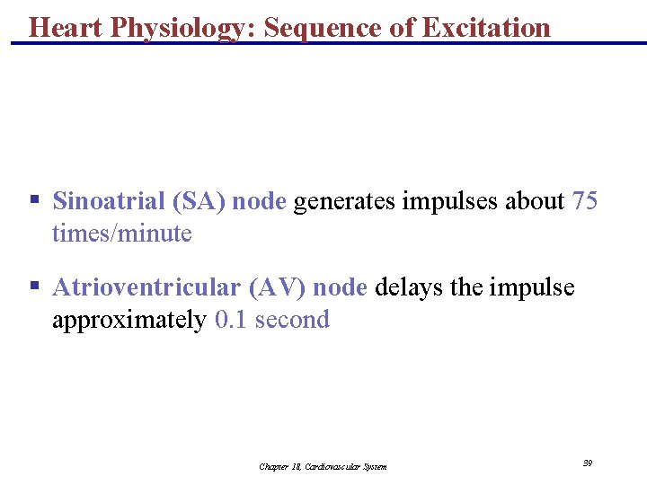 Heart Physiology: Sequence of Excitation § Sinoatrial (SA) node generates impulses about 75 times/minute