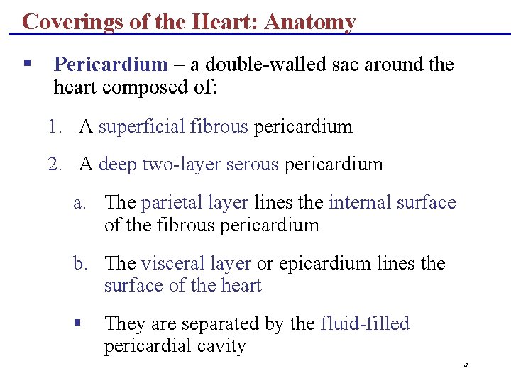 Coverings of the Heart: Anatomy § Pericardium – a double-walled sac around the heart