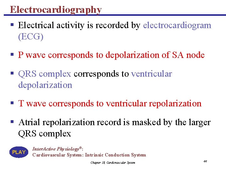 Electrocardiography § Electrical activity is recorded by electrocardiogram (ECG) § P wave corresponds to