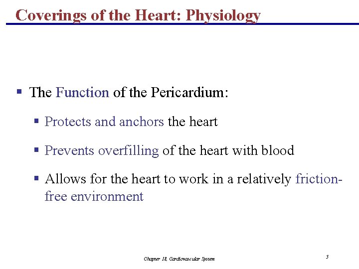 Coverings of the Heart: Physiology § The Function of the Pericardium: § Protects and