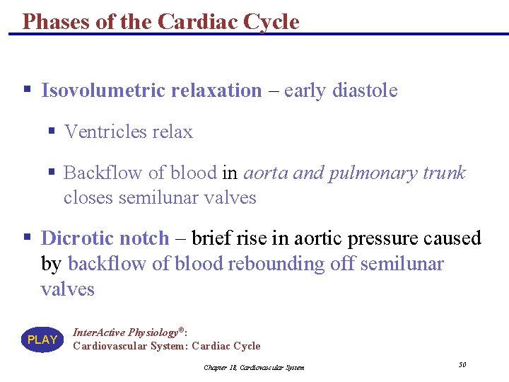 Phases of the Cardiac Cycle § Isovolumetric relaxation – early diastole § Ventricles relax