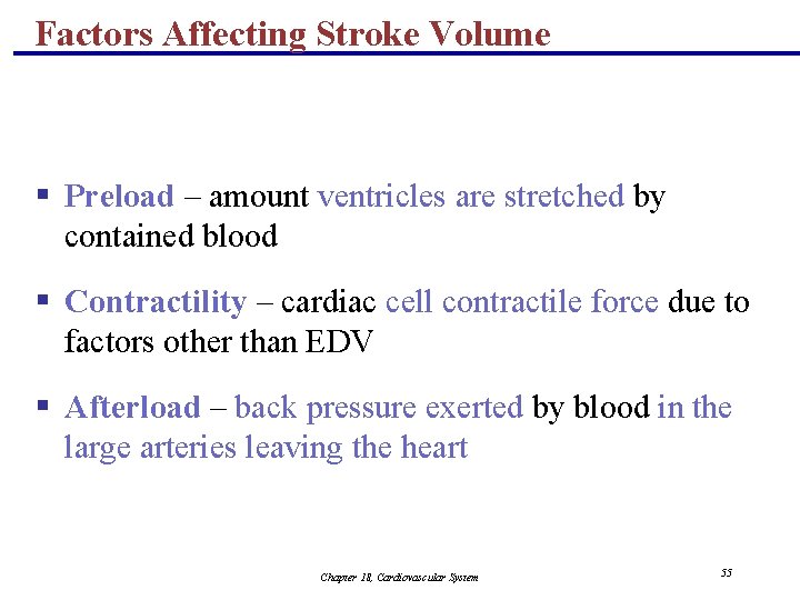Factors Affecting Stroke Volume § Preload – amount ventricles are stretched by contained blood
