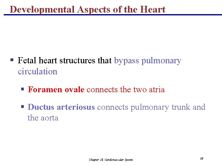 Developmental Aspects of the Heart § Fetal heart structures that bypass pulmonary circulation §