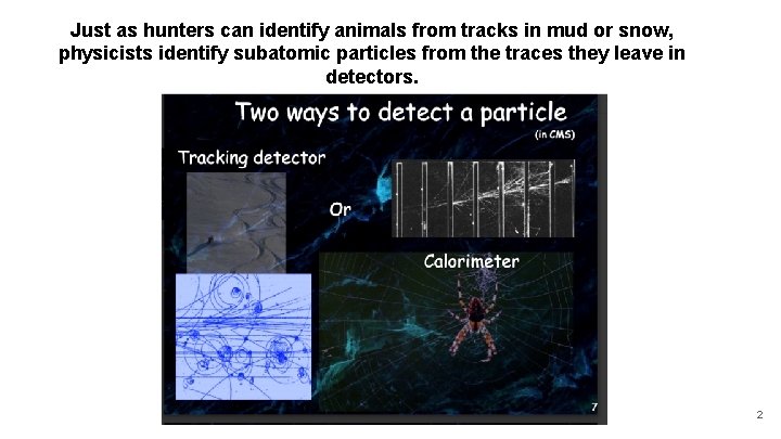 Just as hunters can identify animals from tracks in mud or snow, physicists identify