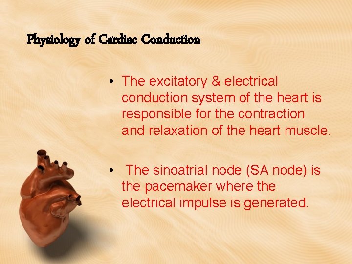Physiology of Cardiac Conduction • The excitatory & electrical conduction system of the heart