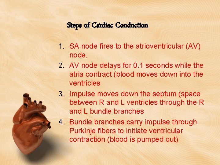 Steps of Cardiac Conduction 1. SA node fires to the atrioventricular (AV) node. 2.