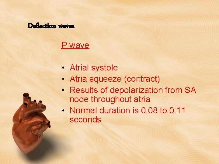 Deflection waves P wave • Atrial systole • Atria squeeze (contract) • Results of