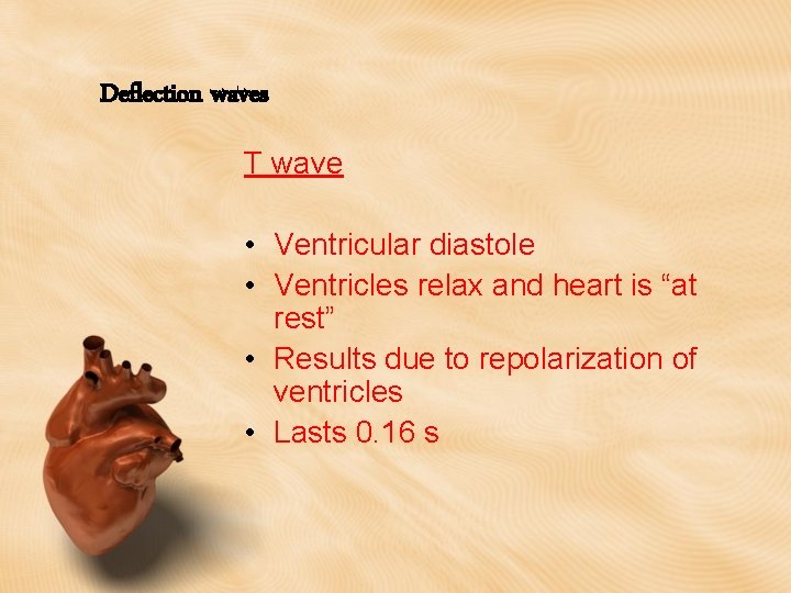 Deflection waves T wave • Ventricular diastole • Ventricles relax and heart is “at