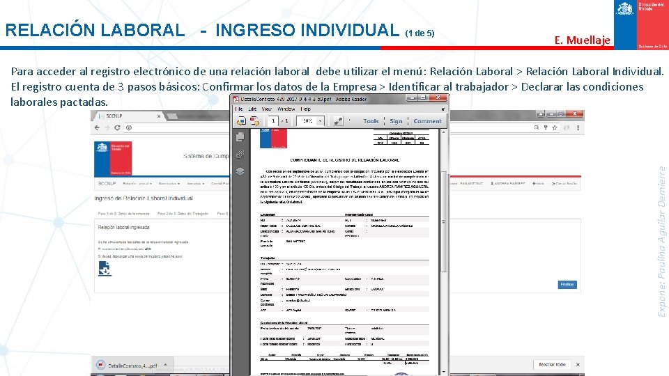 RELACIÓN LABORAL - INGRESO INDIVIDUAL (1 de 5) E. Muellaje Expone: Paulina Aguilar Demierre