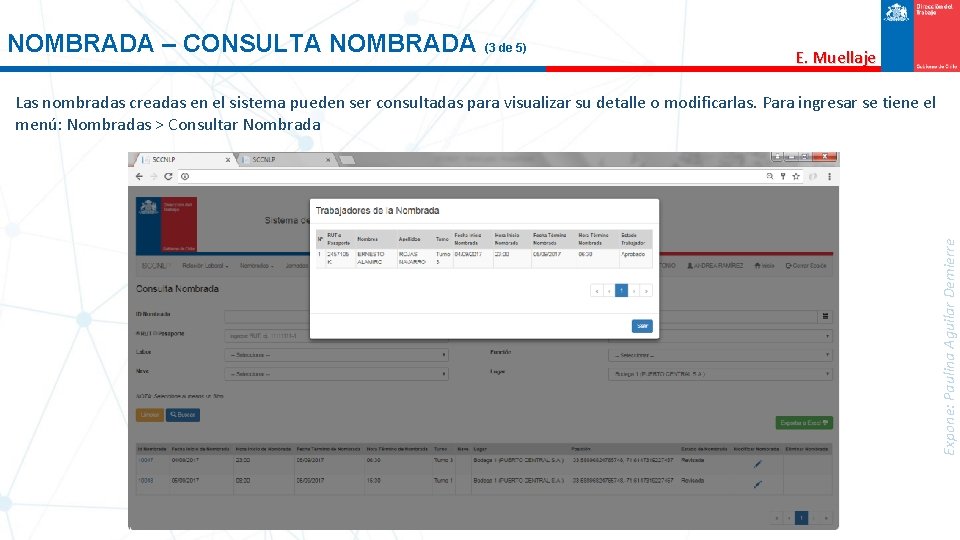 NOMBRADA – CONSULTA NOMBRADA (3 de 5) E. Muellaje Expone: Paulina Aguilar Demierre Las