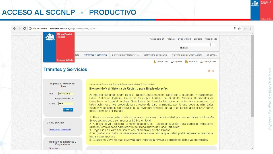 Expone: Paulina Aguilar Demierre ACCESO AL SCCNLP - PRODUCTIVO 