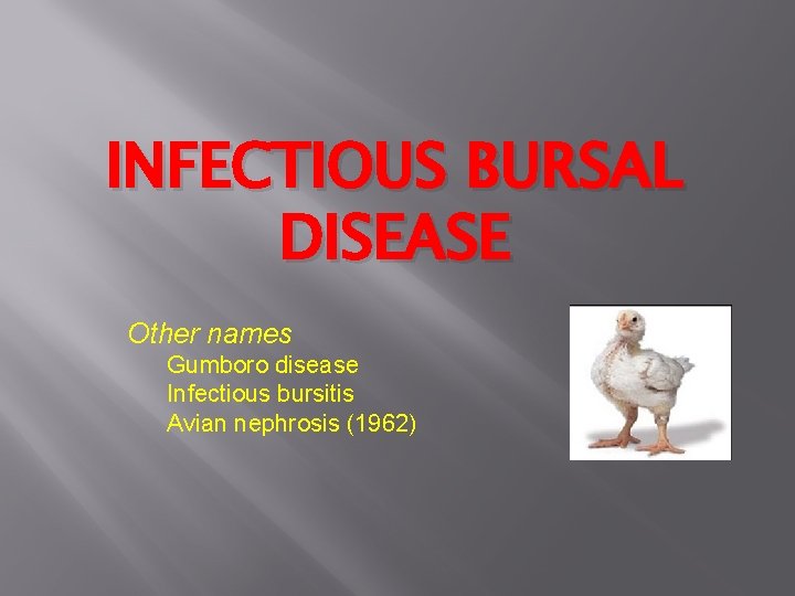 INFECTIOUS BURSAL DISEASE Other names Gumboro disease Infectious bursitis Avian nephrosis (1962) 