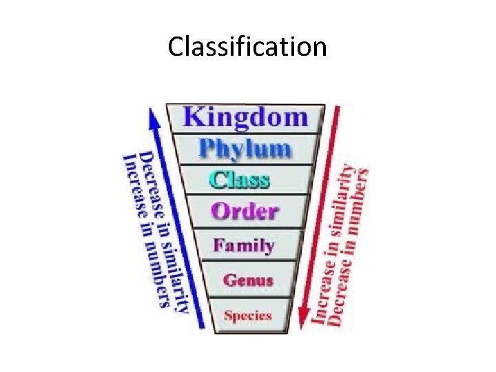 Classification 