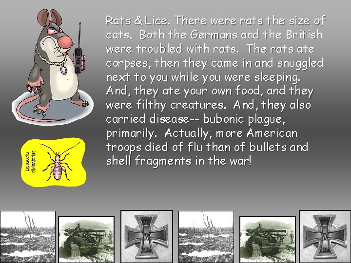 Rats & Lice. There were rats the size of cats. Both the Germans and