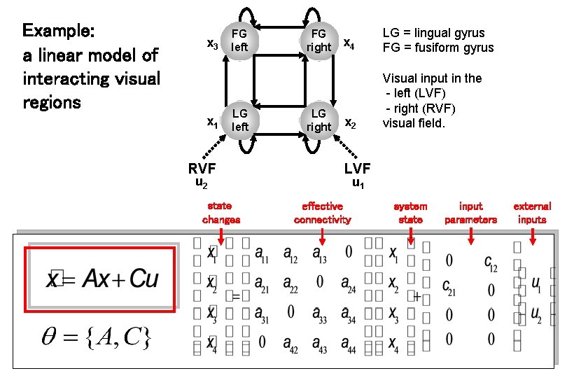 Example: a linear model of interacting visual regions x 3 x 1 FG left