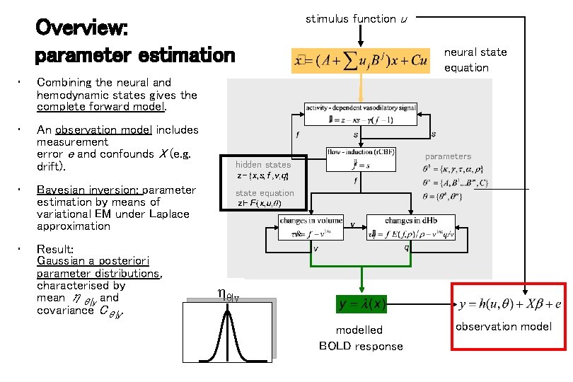 Overview: parameter estimation • Combining the neural and hemodynamic states gives the complete forward